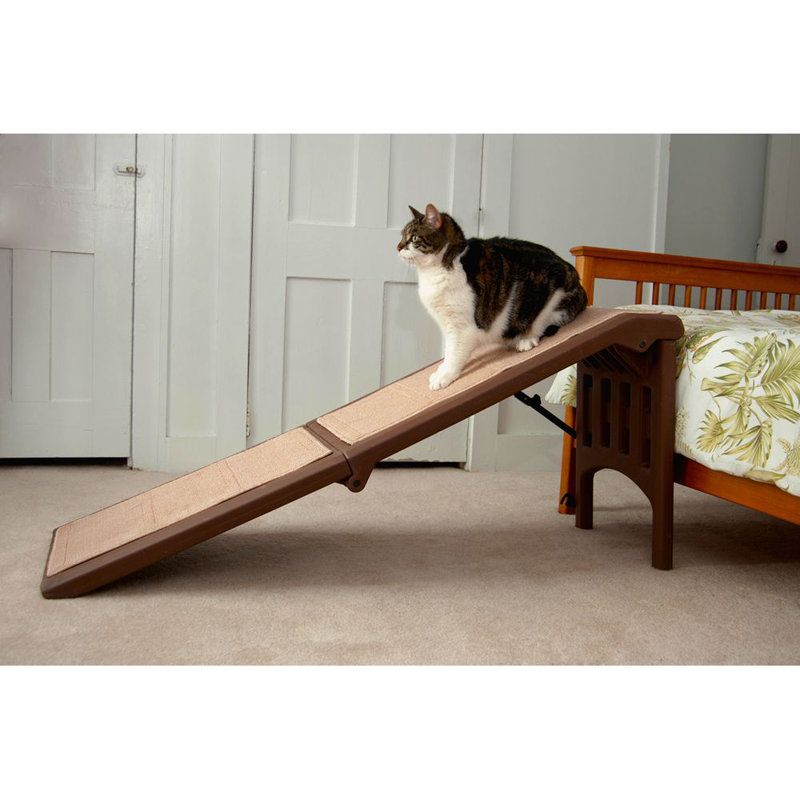 Pet Gear Free Standing 56 Pet Ramp Reviews Wayfair